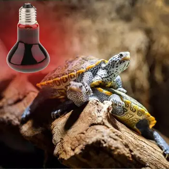 PetsOla teknős hüllő Vivarium fűtőfény Hasznos UVA éjszakai lámpa 40W-100W