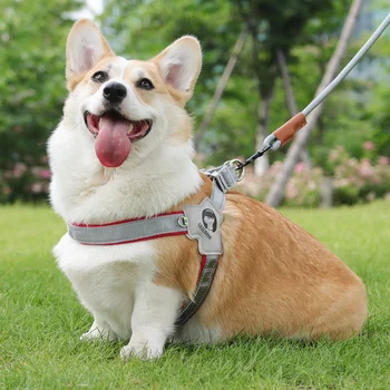 Training Walking Harness Puppy Anti-Loss Aranyos Tartós Új védő nylon nyaklánc Legkelendőbb puffer Aparelhos kisállat kellékek