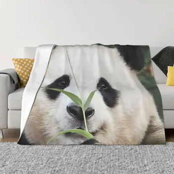 Fu Bao Fubao Panda Animal takaró Könnyű, lélegző Anti-pilling Flanel takarók az Easy Care géphez Megfizethető
